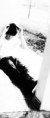 /album/alan-francisco/paaaae6exbb8xiqvwn124zcuqmyoh4fvcz93t3msons0mcnqlxxwr8vuhvub5ots-dbsfxcdhgtah7qv1rdwgzkn5ekam1t1uj5ee96watnr8mg3soxd1b20prvb-jpg/